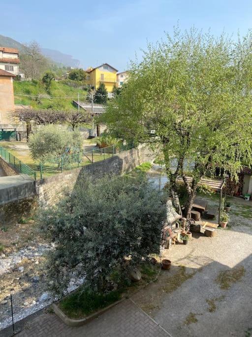 Casa Mirta Διαμέρισμα Mandello del Lario Εξωτερικό φωτογραφία